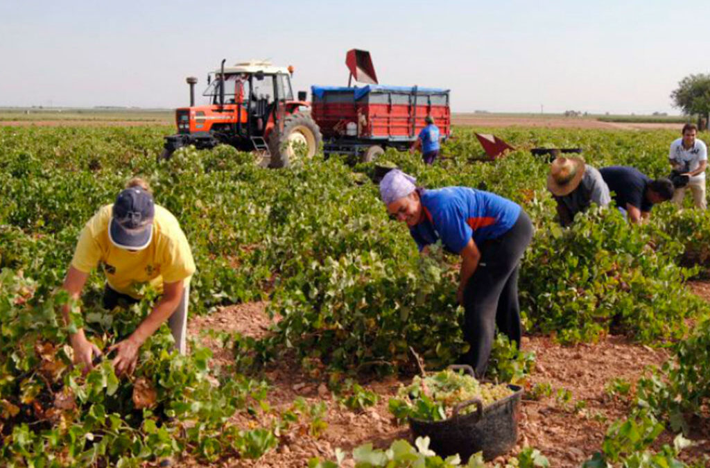 Presentaron un proyecto de ley para compatibilizar los planes sociales con el trabajo rural registrado