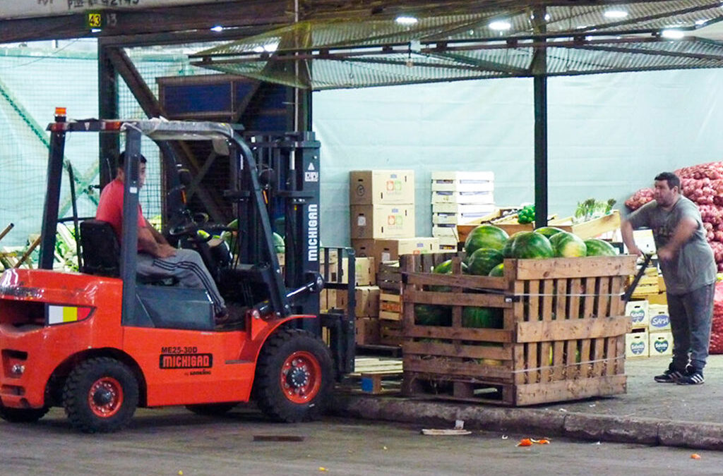Carga y Descarga ratificó la representación gremial de los trabajadores frutihortícolas