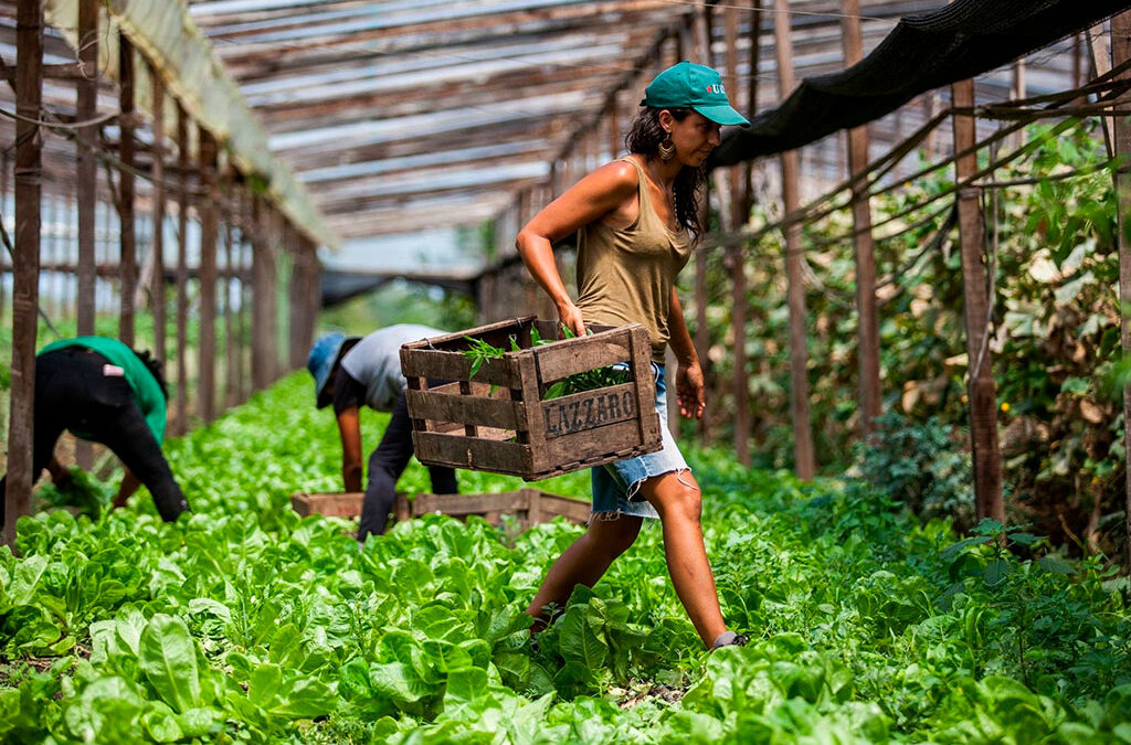 Oficializan la suba del salario mínimo de los trabajadores agrarios