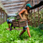 Oficializan la suba del salario mínimo de los trabajadores agrarios