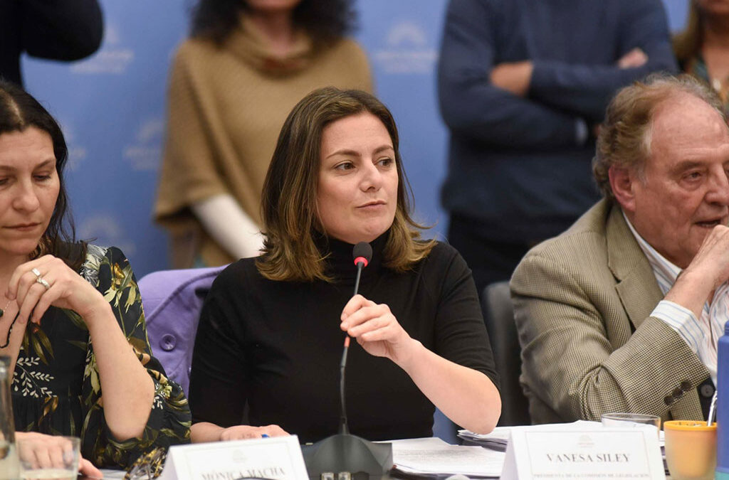 Ampliación de las licencias por maternidad: cuáles son los principales cambios aprobados en Diputados