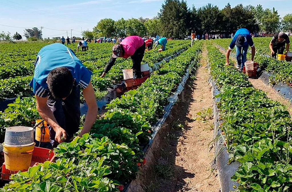 La complementación de trabajo temporario y beneficios de planes sociales ya es una realidad