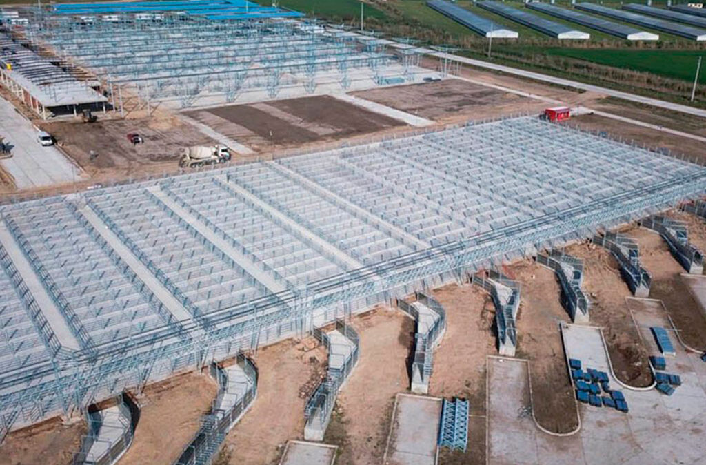 Trabajadores del Mercado de Hacienda pactaron nuevos aumentos, llevaron la suba acumulada al 75%, incluyeron un bono por el día de la niñez y el pago de guardería