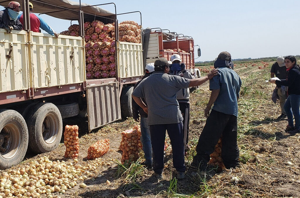 El Senado avanza en la Ley para compatibilizar los planes sociales con el trabajo rural temporario