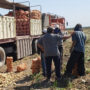 El Senado avanza en la Ley para compatibilizar los planes sociales con el trabajo rural temporario