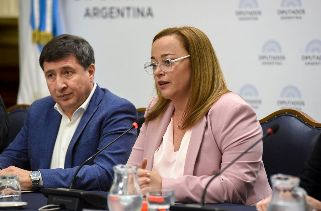 Cecilia Moreau: «Las mejores leyes sociales se construyen desde afuera hacia adentro»