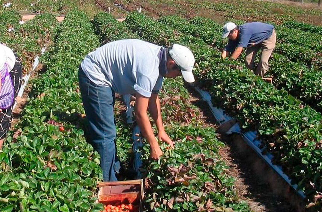 Empieza a crecer una organización de trabajadores precarizados y ya plantea sus reclamos