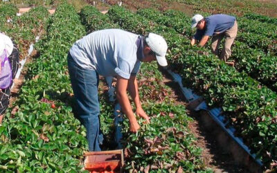 Empieza a crecer una organización de trabajadores precarizados y ya plantea sus reclamos