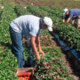 Empieza a crecer una organización de trabajadores precarizados y ya plantea sus reclamos