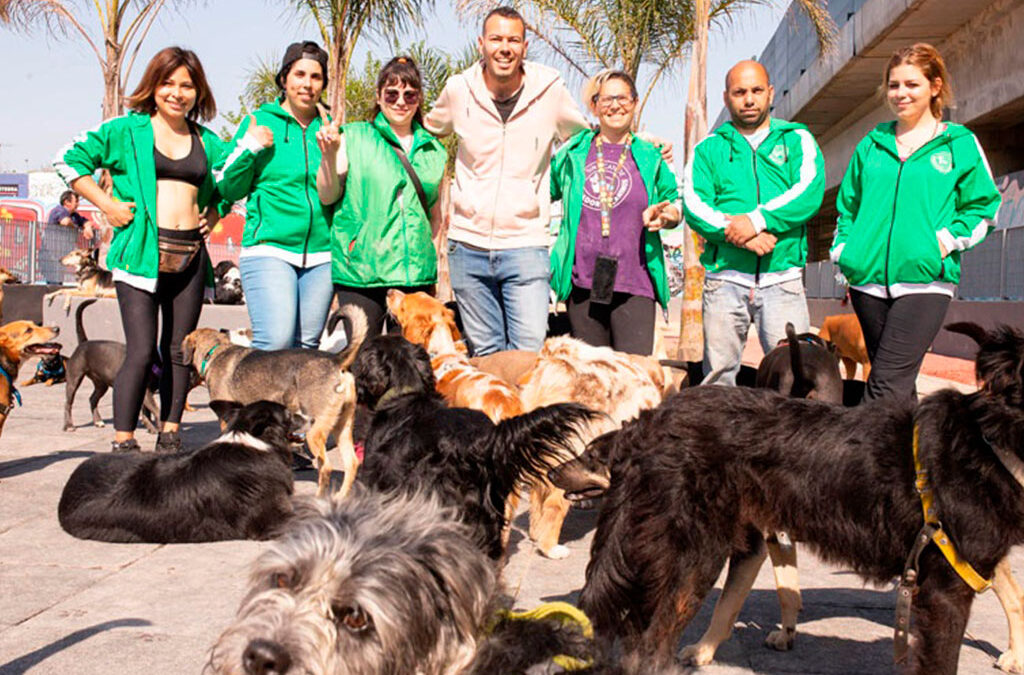 Sindicato de Trabajadores Caninos: “Un país con 50% de trabajo informal es inviable”