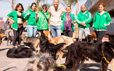 Sindicato de Trabajadores Caninos: “Un país con 50% de trabajo informal es inviable”