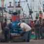 Acuerdo histórico entre la flota pesquera y el SOMU