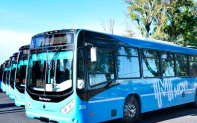 Jujuy: Avanzan contra las empresas de colectivos tras un polémico paro