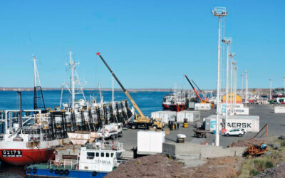 Denuncian bloqueo a las exportaciones por parte de estibadores
