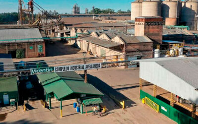 Vicentin: trabajadores confían que con la cosecha de soja y girasol se renovarán contratos con proveedores