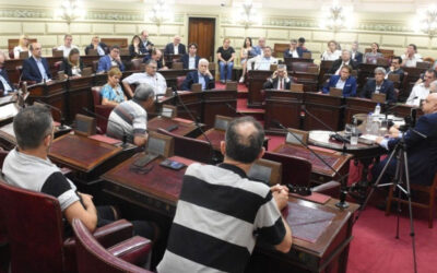 Audiencia Publica: Santa Fe debate sobre el diseño de la futura  Hidrovía