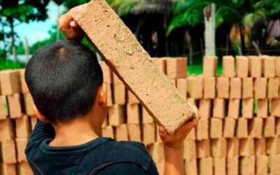 El Gobierno aprobó el Plan Nacional de Prevención y Erradicación del Trabajo Infantil