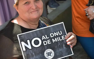 Qué dice la letra chica del DNU de Milei que la Justicia frenó