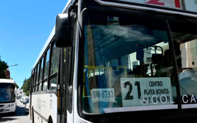 Levantaron el paro del transporte en Bariloche y vuelven a circular los colectivos.