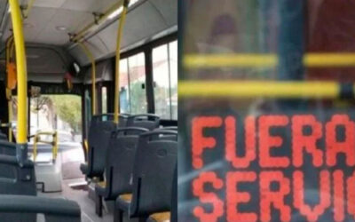 Paritarias 2024: no hubo acuerdo y los gremios del Transporte podrían ir al paro