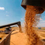 Más entidades del agro santafesino se unen para rechazar el aumento de retenciones