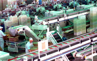 Mejora salarial del 62% para trabajadores y trabajadoras de la Alimentación