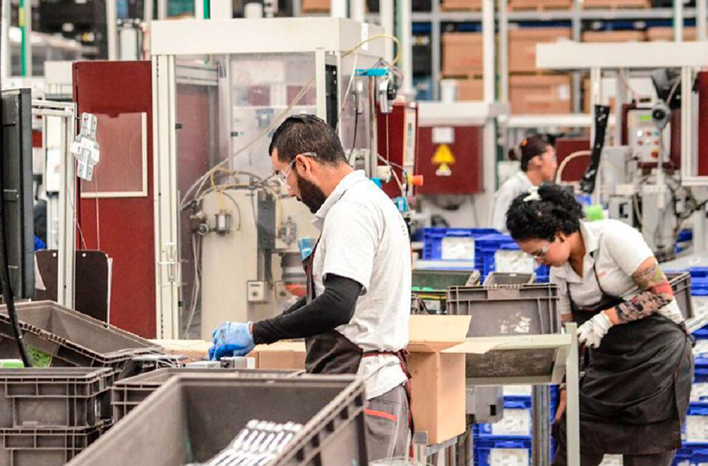 Fomentar Empleo: un plan para generar trabajo genuino, congelado por Milei y con destino incierto
