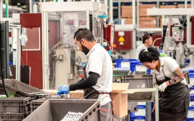 Fomentar Empleo: un plan para generar trabajo genuino, congelado por Milei y con destino incierto