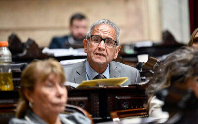 Palazzo durísimo contra la ley ómnibus: «En cada artículo hay un negocio»
