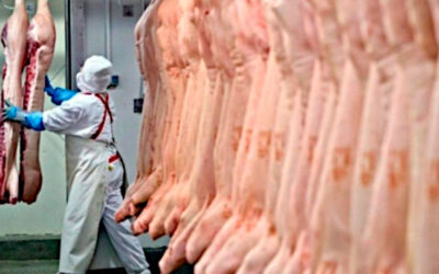 Gremio de la carne anunció recomposición salarial y nueva base de negociación del 324,5%
