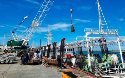 Crece la conflictividad sindical: Gremios evalúan un paro nacional en puertos