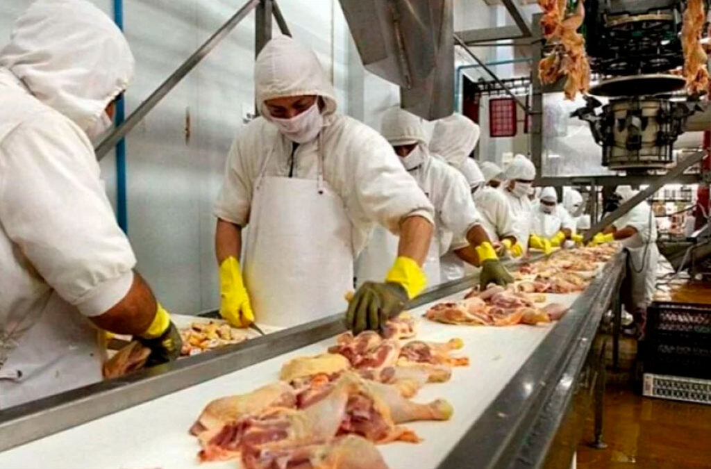 Paritaria avícola: la Federación de la Carne logró un nuevo acuerdo salarial y acumula más del 235% en 10 meses