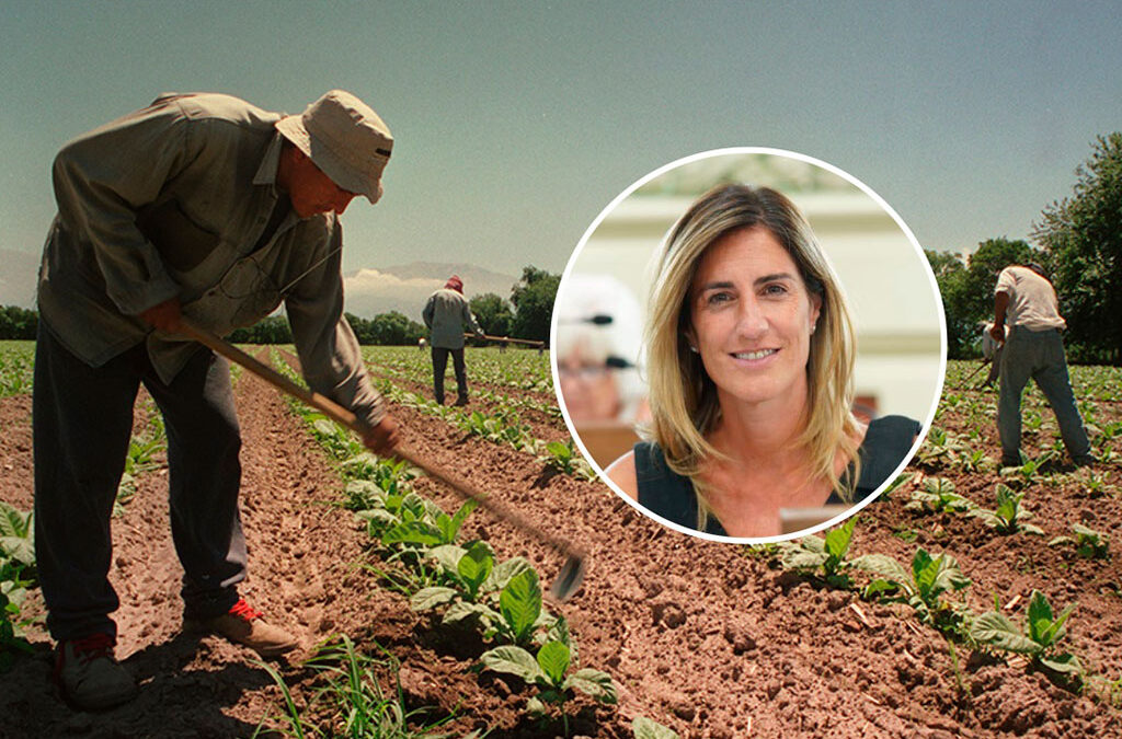 Malestar en el sector agrario por movimientos que buscan intervenir en la interna de UATRE