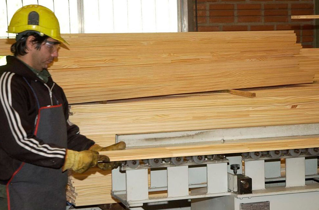 Cae en picada la industria maderera por el combo letal entre el freno a la obra pública, apertura de importaciones y recesión interna