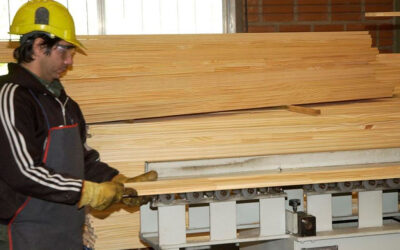 Cae en picada la industria maderera por el combo letal entre el freno a la obra pública, apertura de importaciones y recesión interna