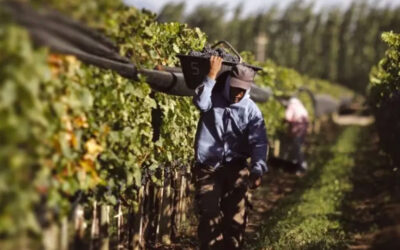 La paritaria vitivinícola, a un paso de cerrarse con 110% de aumento hasta abril