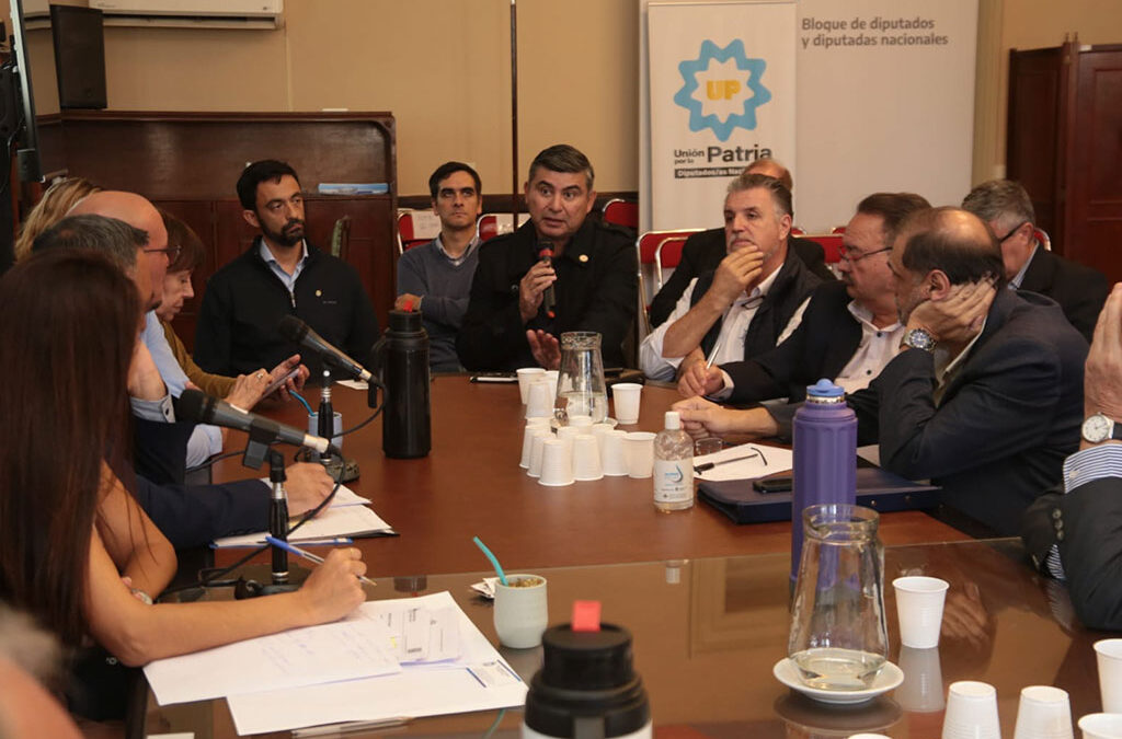 Gremios marítimos se reunieron con diputados nacionales para abordar el rechazo al DNU de Milei