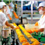 Los gremios de la alimentación buscan respuesta empresarial de cara a la audiencia del miércoles