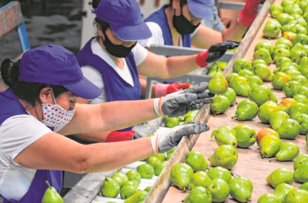 Tras paralizar el empaque, los trabajadores de la fruta acuerdan la paritaria