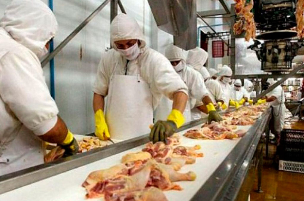 Trabajadores avícolas inician el plan de lucha y tildan a empresarios de “mezquinos e irresponsables”