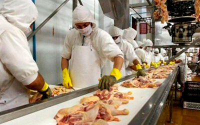 Trabajadores avícolas inician el plan de lucha y tildan a empresarios de “mezquinos e irresponsables”