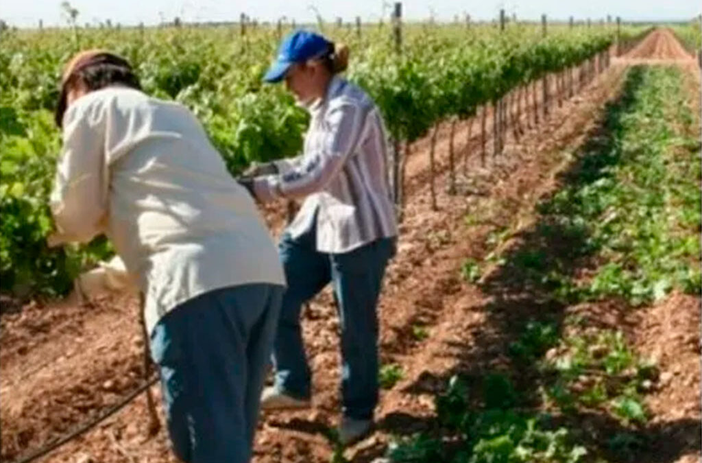 La CRA cruzó a la UATRE por sus denuncias sobre empleo rural informal