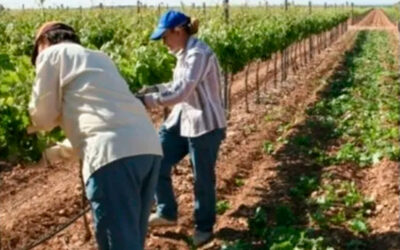 La CRA cruzó a la UATRE por sus denuncias sobre empleo rural informal