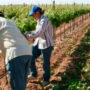 La CRA cruzó a la UATRE por sus denuncias sobre empleo rural informal