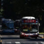 Paro general: un juez laboral determinó que las empresas de colectivos no están obligadas a cumplir con el 50% del servicio