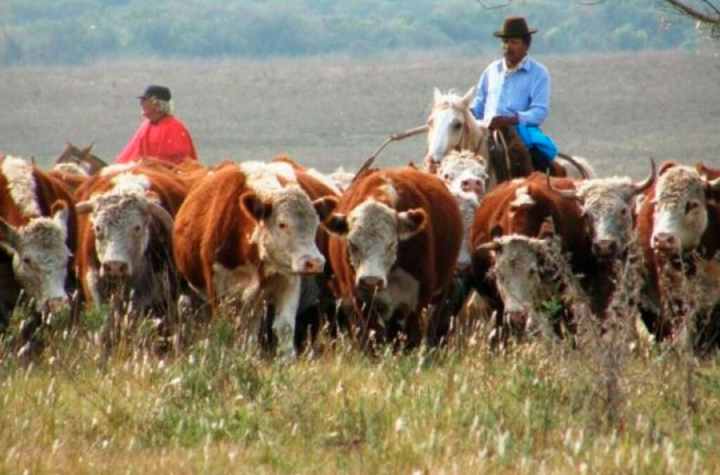 UATRE reclamó ante la Comisión de Trabajo Agrario un aumento salarial para los trabajadores rurales y una recomposición por pérdida ante la inflación