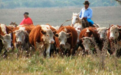UATRE reclamó ante la Comisión de Trabajo Agrario un aumento salarial para los trabajadores rurales y una recomposición por pérdida ante la inflación
