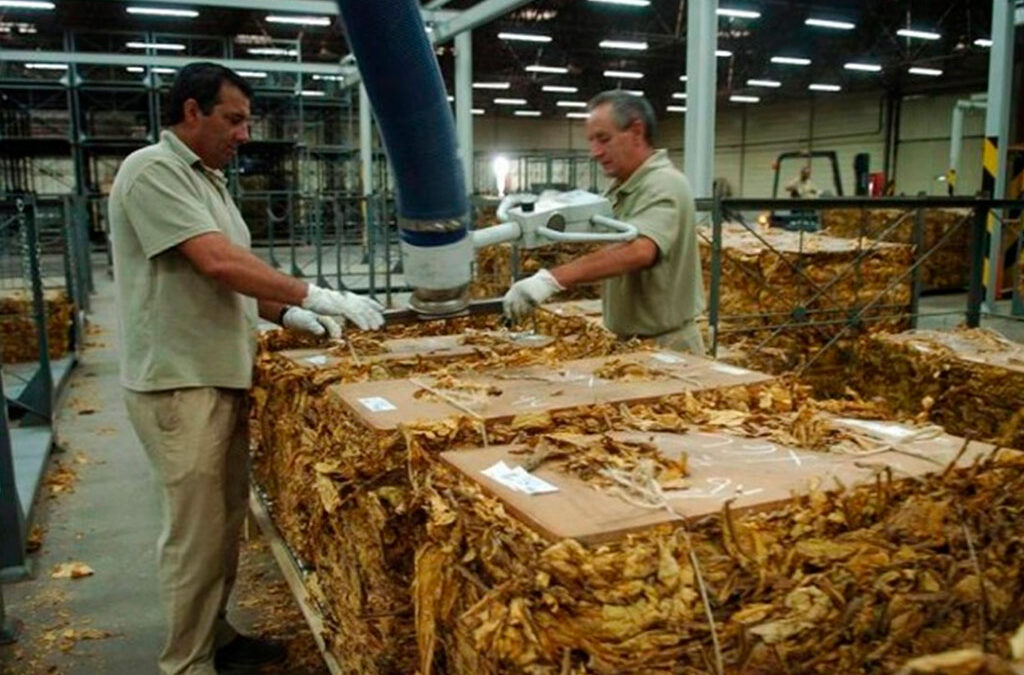 Trabajadores del tabaco actualizan los salarios y el mínimo quedó 1 millón 400 mil pesos