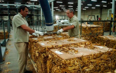 Trabajadores del tabaco actualizan los salarios y el mínimo quedó 1 millón 400 mil pesos
