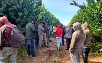 El 80% de los trabajadores citrícolas no están registrados en Metán